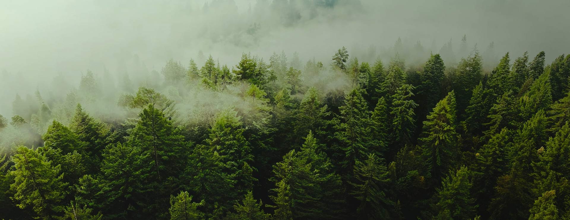 Công ty TNHH Dệt may Nam Thông Sufang